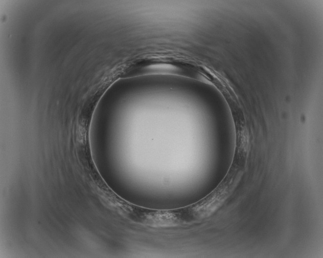 X0000086330517200703301233