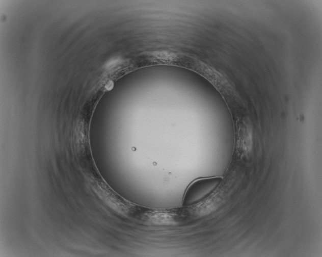 X0000086330518200703301233