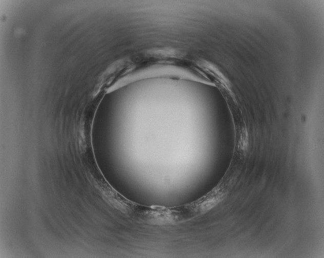 X0000086330524200703301233