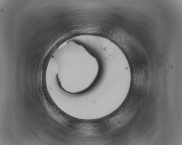 X0000086330534200703301232