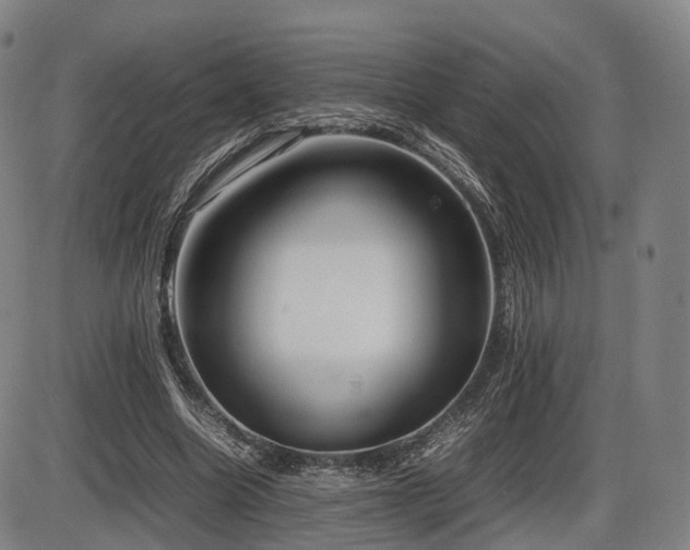 X0000086330538200703301232