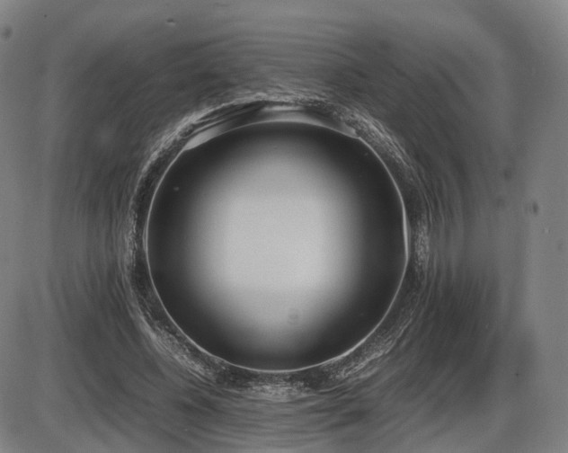 X0000086330540200703301232