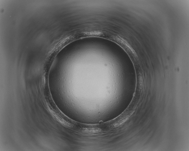 X0000086330541200703301232