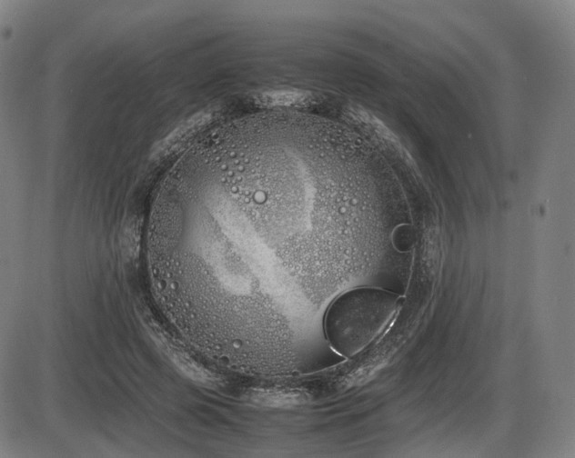 X0000086330545200703301232