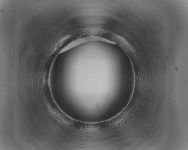 X0000086330546200703301232