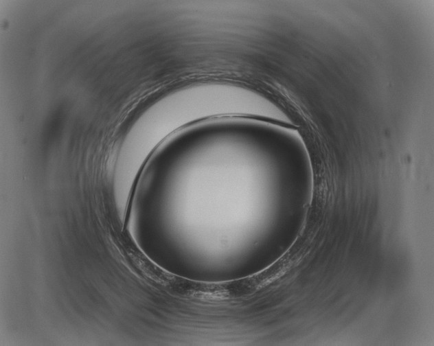 X0000086330548200703301232