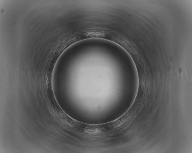X0000086330551200703301232