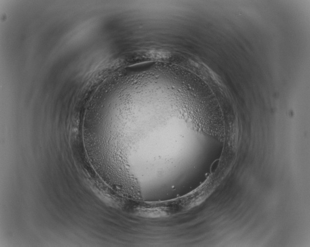 X0000086330553200703301233