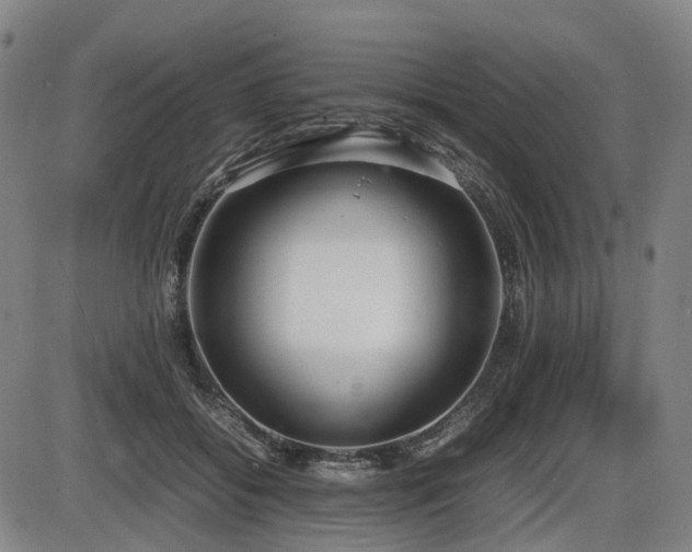 X0000086330556200703301233
