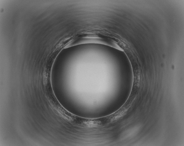 X0000086330558200703301233