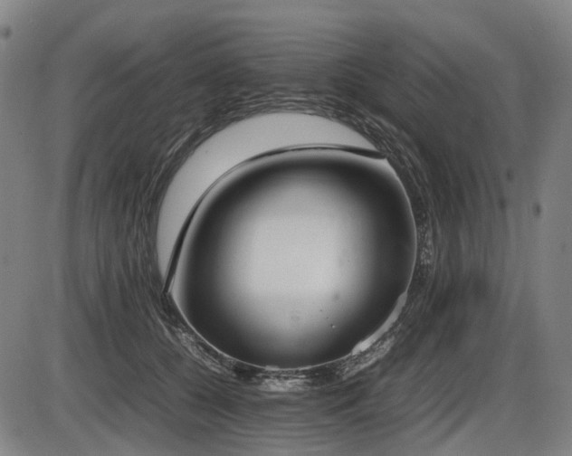 X0000086330560200703301233