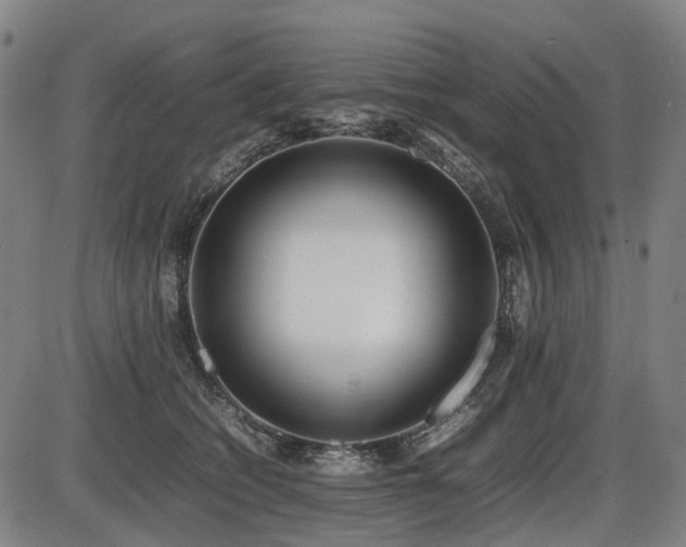 X0000086330562200703301233