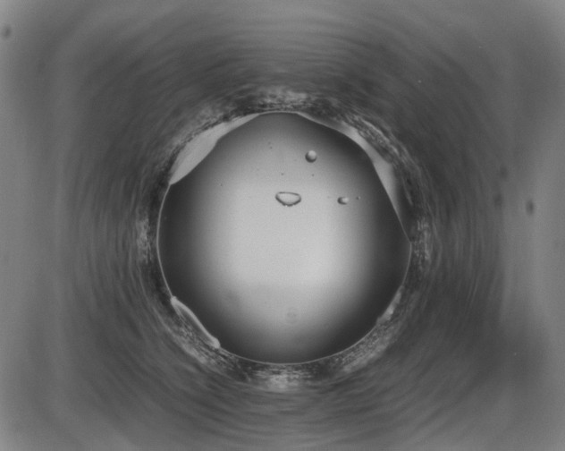 X0000086330564200703301233