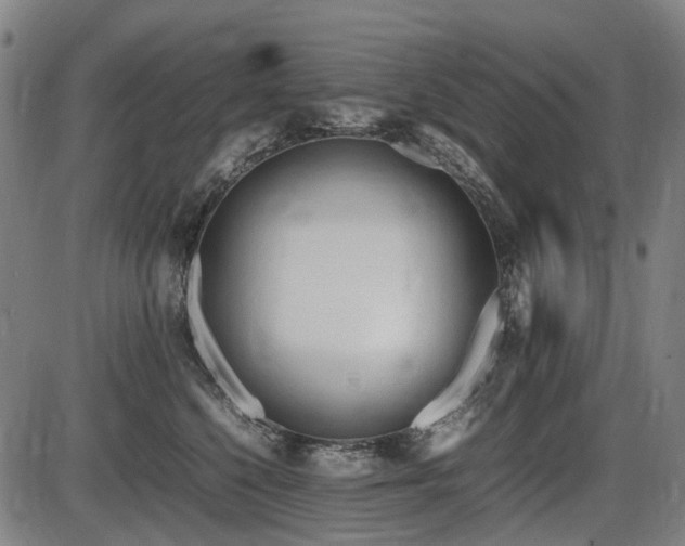 X0000086330568200703301233