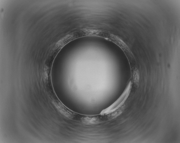 X0000086330570200703301233