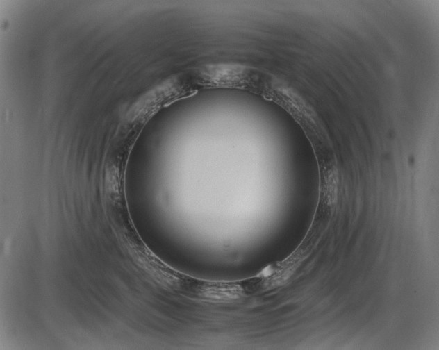 X0000086330571200703301233