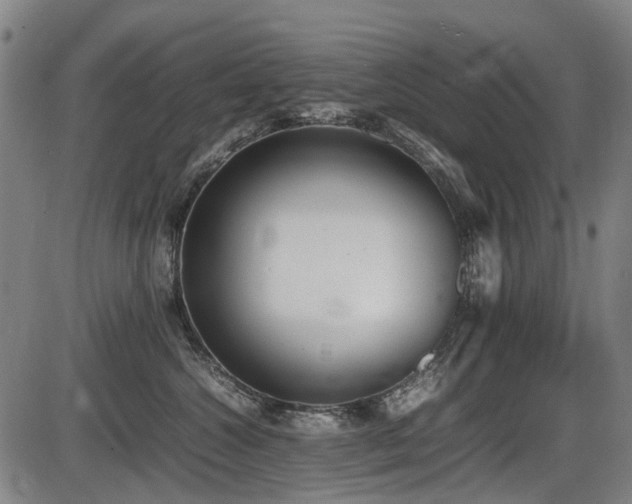 X0000086330572200703301233