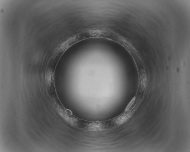 X0000086330574200703301233