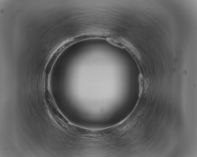 X0000086330580200703301232