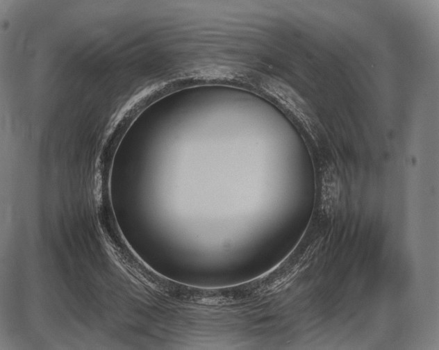 X0000086330584200703301232