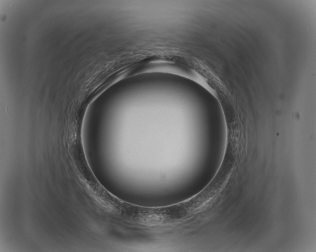 X0000086330593200703301232