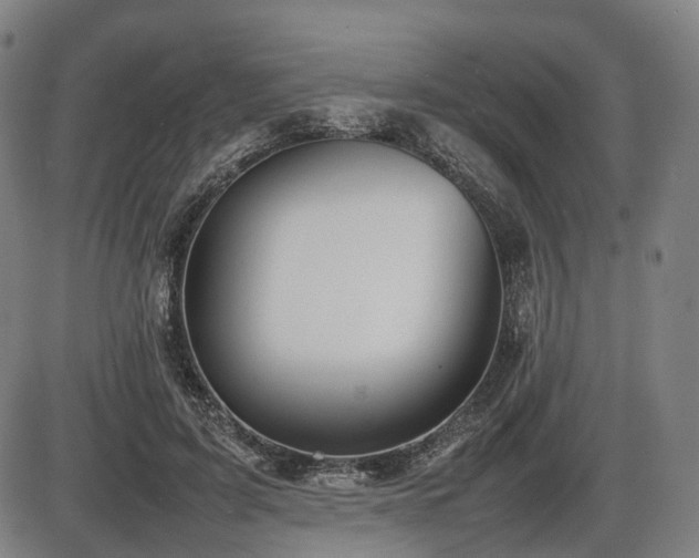 X0000086330595200703301232