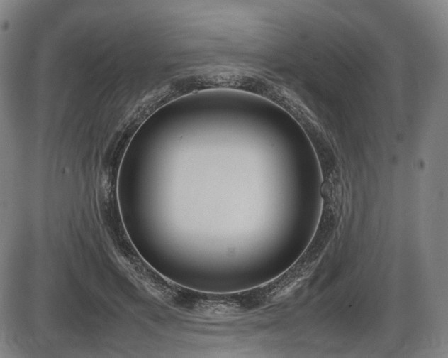 X0000086330597200703301232