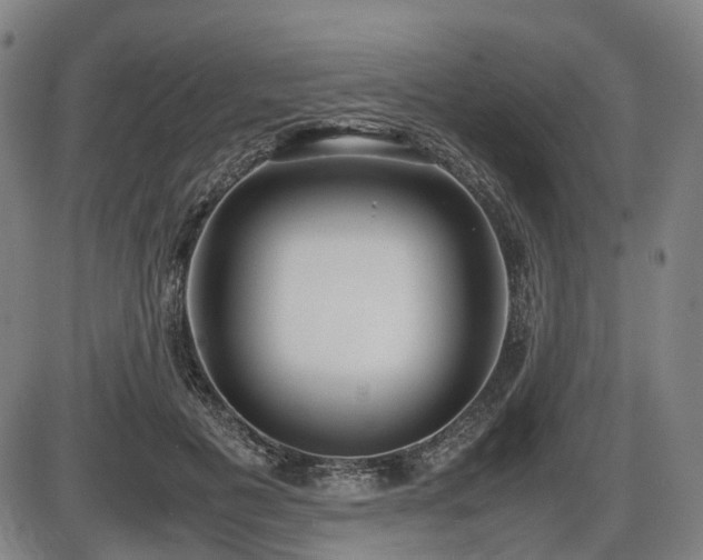X0000086330601200703301232