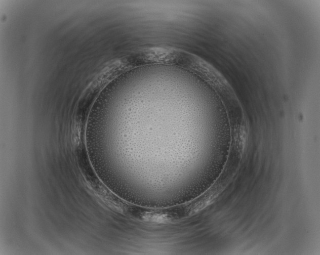 X0000086330602200703301232