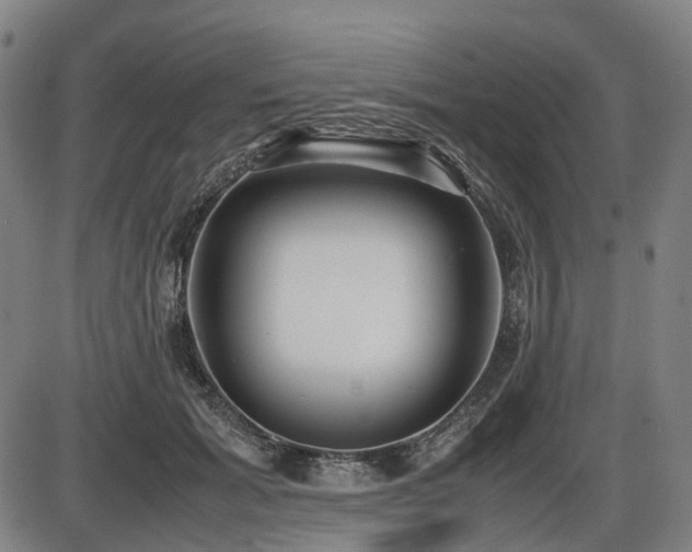 X0000086330605200703301232
