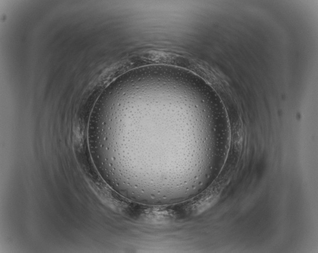 X0000086330607200703301232
