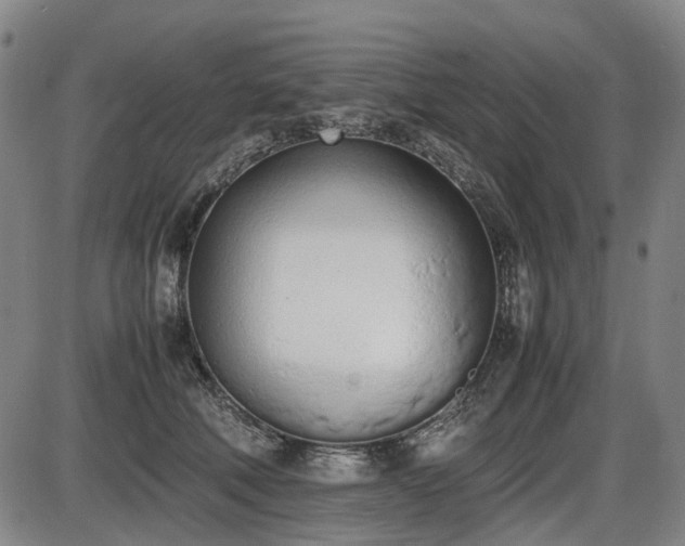 X0000086330610200703301232