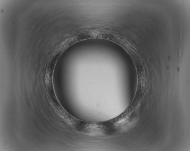 X0000086330611200703301232