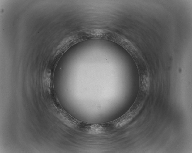 X0000086330612200703301232