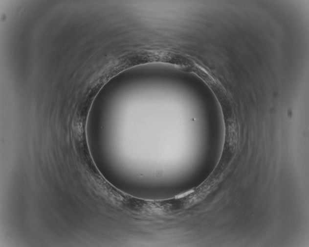 X0000086330613200703301231