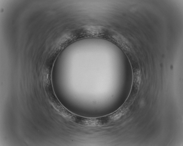 X0000086330615200703301231