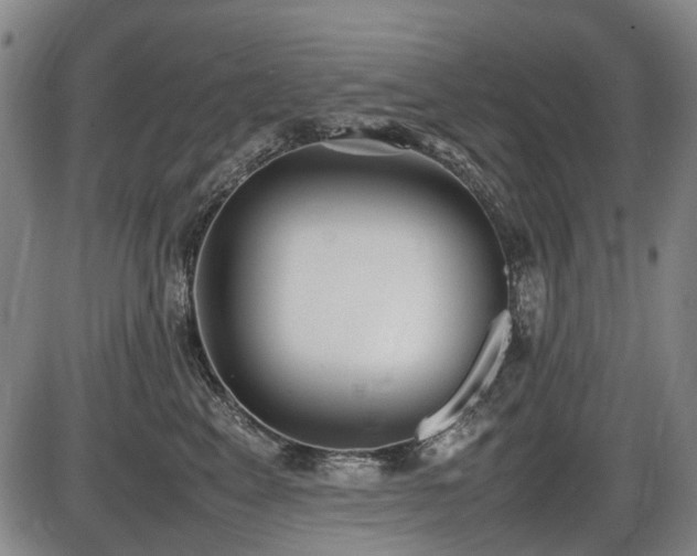 X0000086330617200703301231