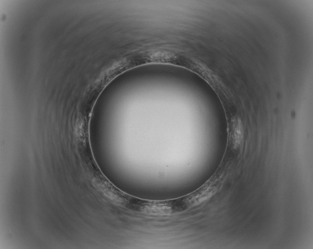 X0000086330619200703301231