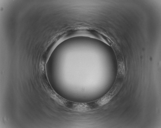 X0000086330621200703301231
