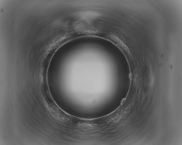 X0000086330635200703301231