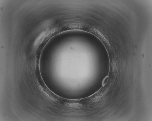X0000086330637200703301231