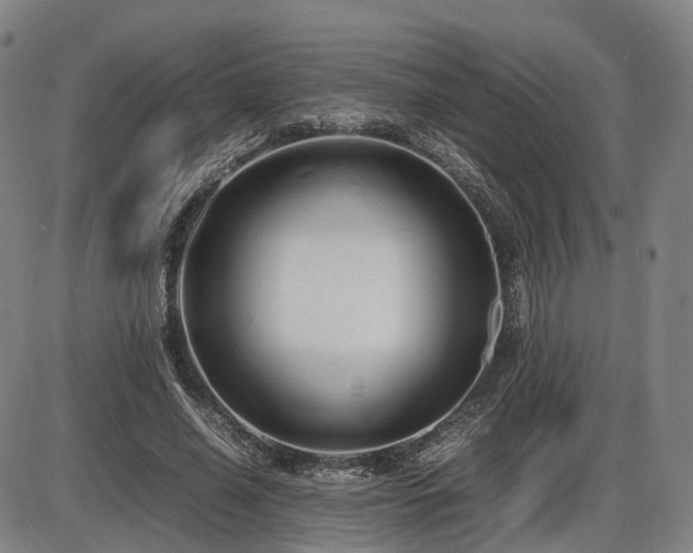 X0000086330638200703301231