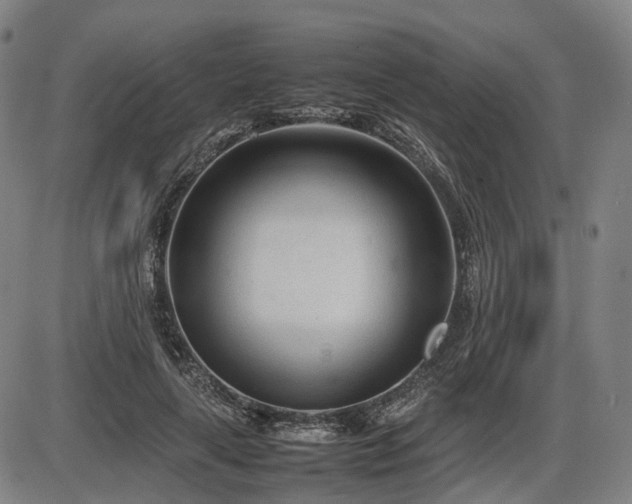 X0000086330643200703301231