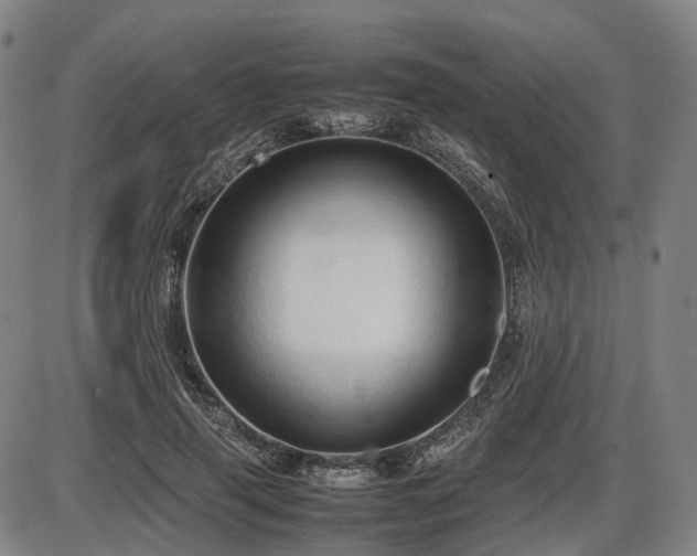 X0000086330645200703301231