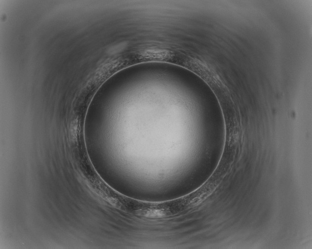 X0000086330647200703301231