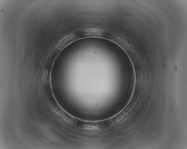X0000086330649200703301231