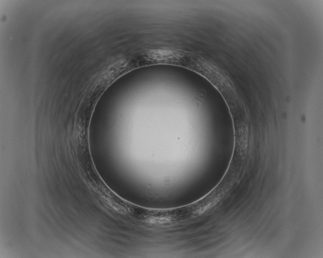 X0000086330653200703301231