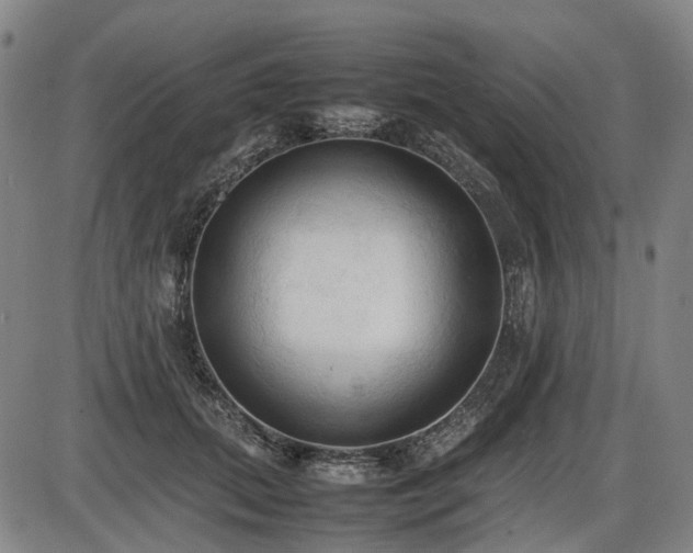 X0000086330655200703301231