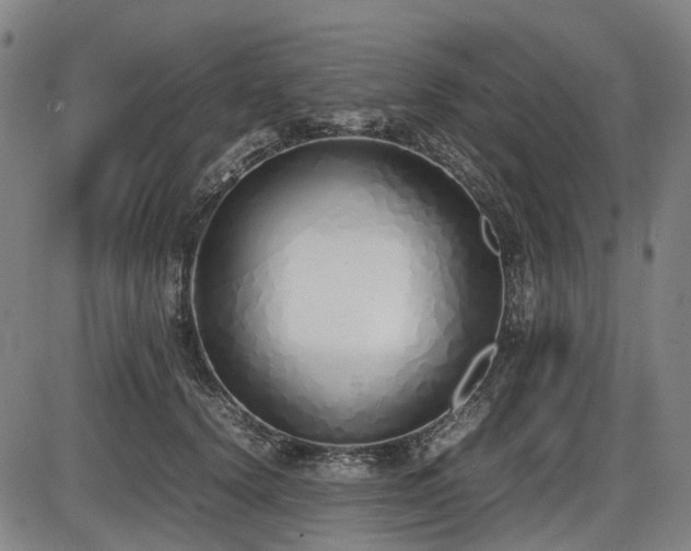 X0000086330656200703301231