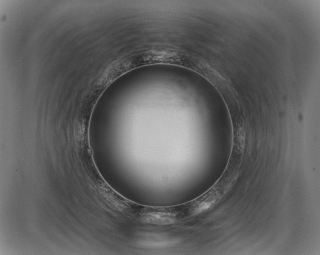 X0000086330657200703301231